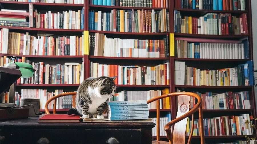 旅行中国漫游记,旅行中国的书籍