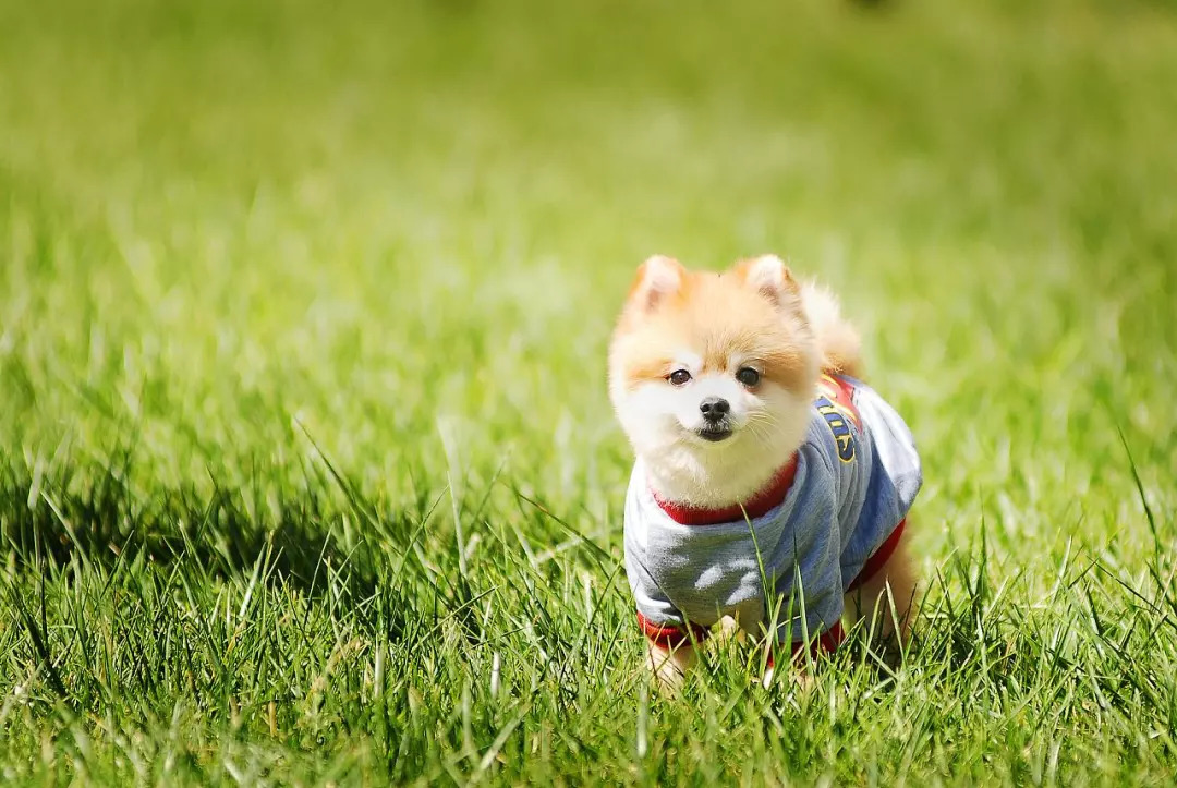 四川成都各大批发市场,成都最新批发市场