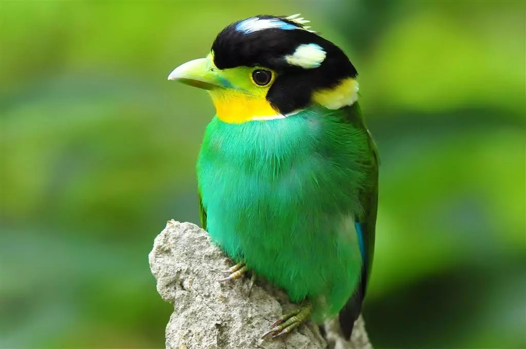 四川成都各大批发市场,成都最新批发市场