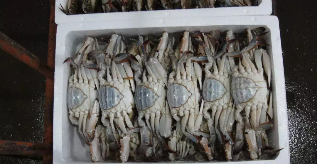 四川成都各大批发市场,成都最新批发市场