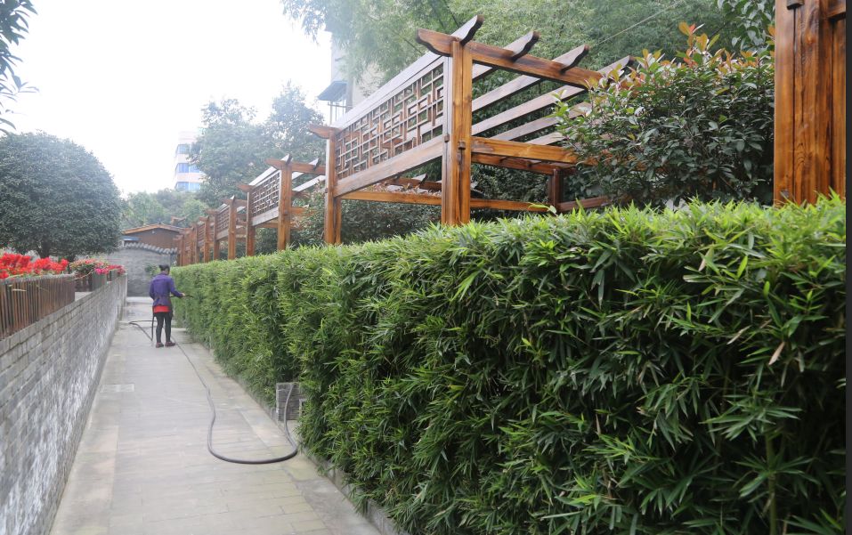 慢慢走慢慢欣赏沿途的风景,慢慢走欣赏一路风景