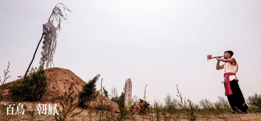 荒岛赠票｜「百鸟朝凤」是一个时代的挽歌吗？