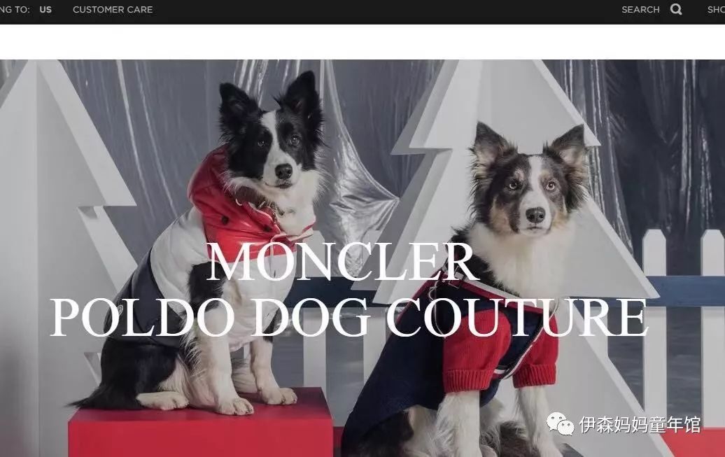 当狗穿上自己的衣服的时候,当狗穿上羽绒服