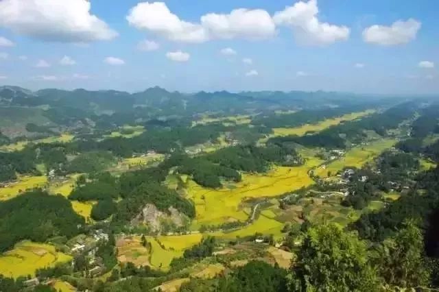 遵义周末出游推荐,在遵义五一单人旅游推荐