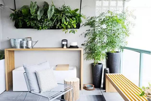 自制花肥有异味？！7个小窍门解决你的大烦恼！