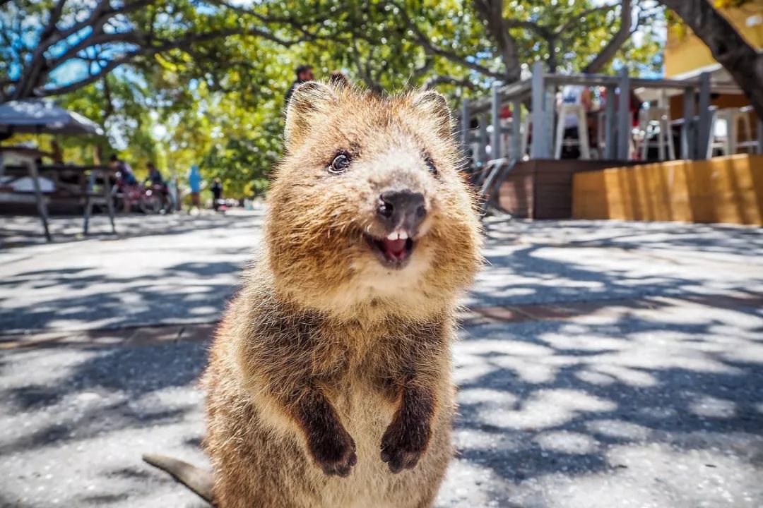 n个理由,十个理由告诉你为什么要独自旅行