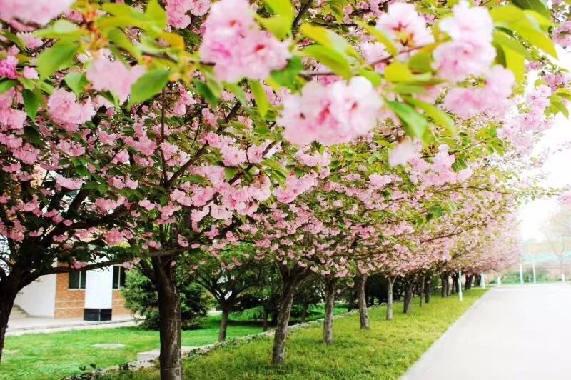 临潼地名的由来,临潼的历史简介