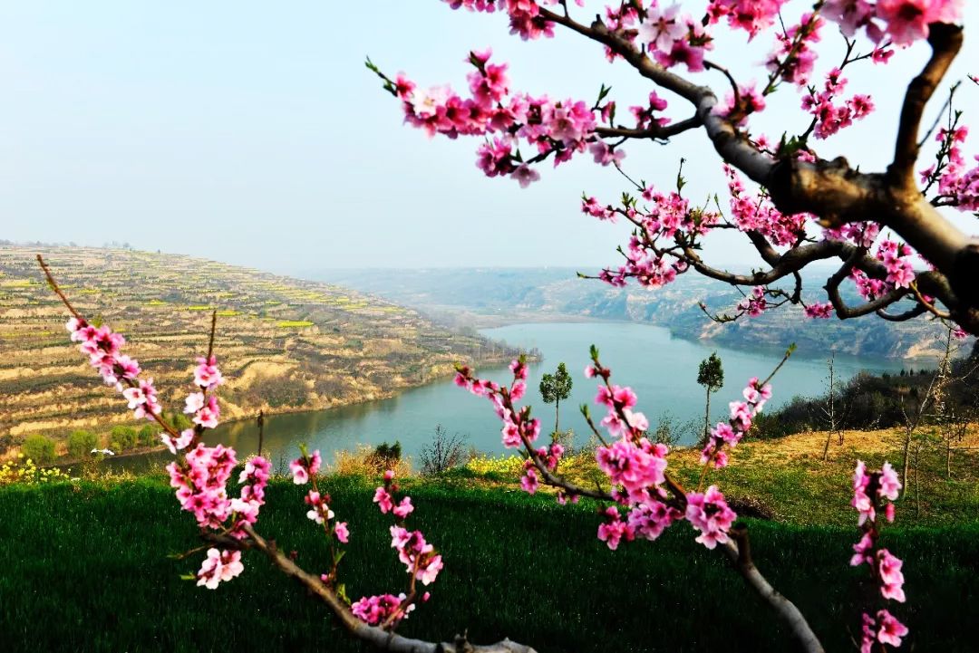 临潼地名的由来,临潼的历史简介