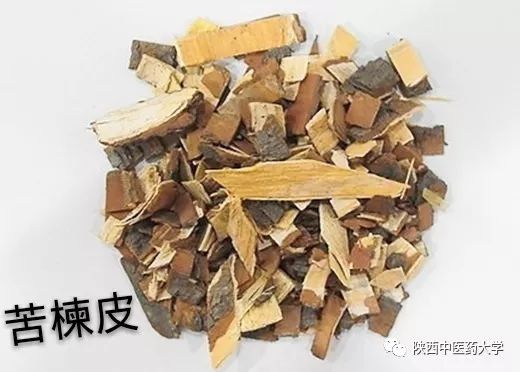 毒液的视角看毒液,医学生眼中的饮料图片