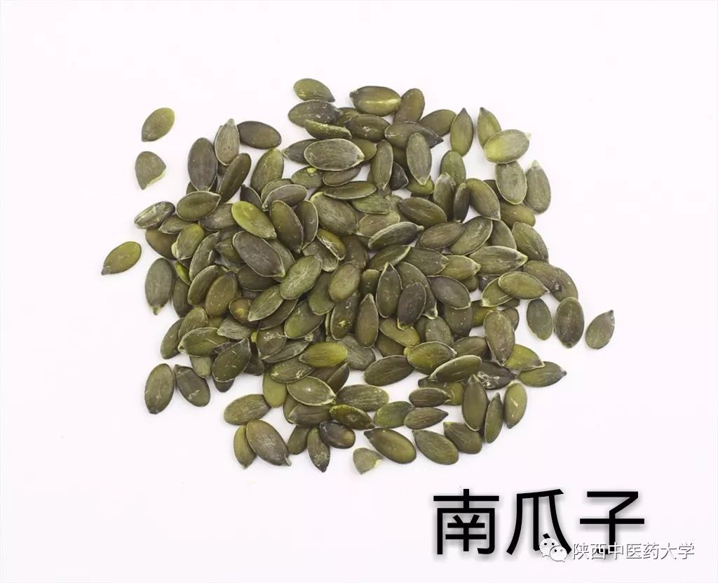 毒液的视角看毒液,医学生眼中的饮料图片