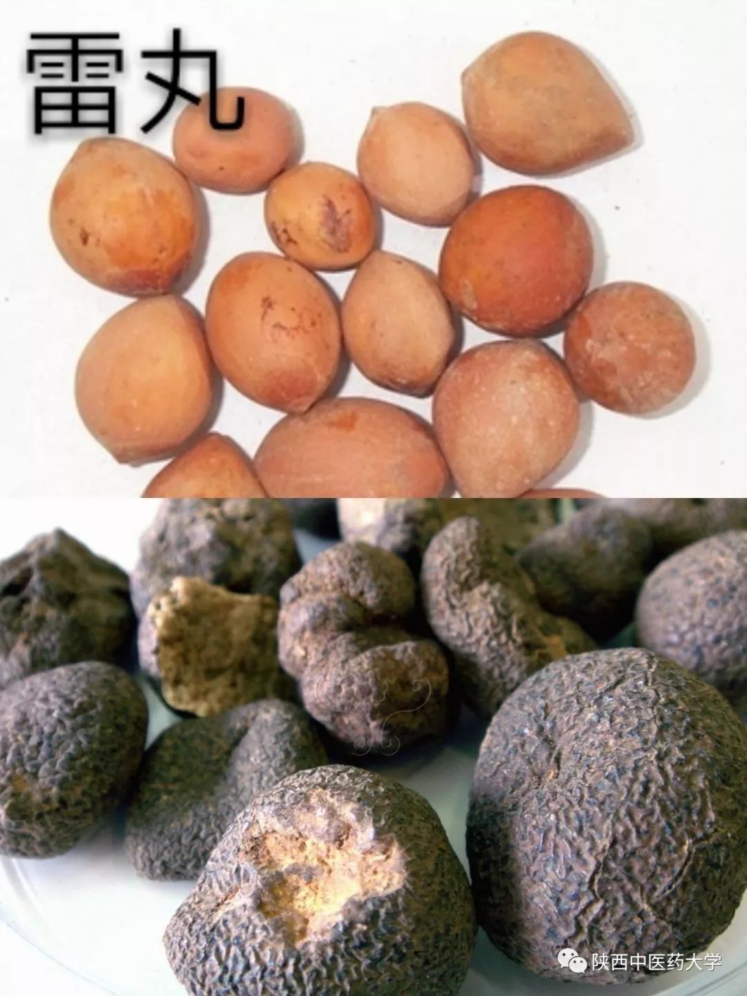 毒液的视角看毒液,医学生眼中的饮料图片