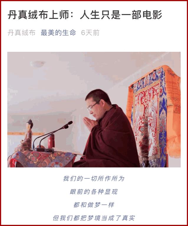 盲目跟风造成严重后果的案例,警惕盲目跟风