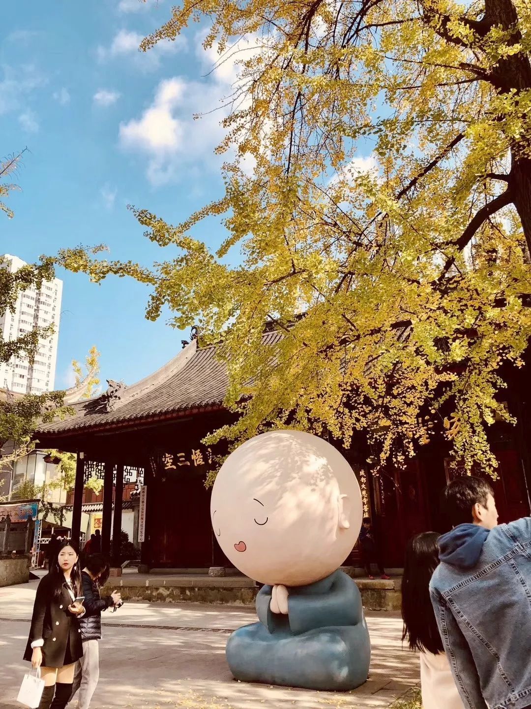 成都锦江边最漂亮的银杏,成都银杏美图