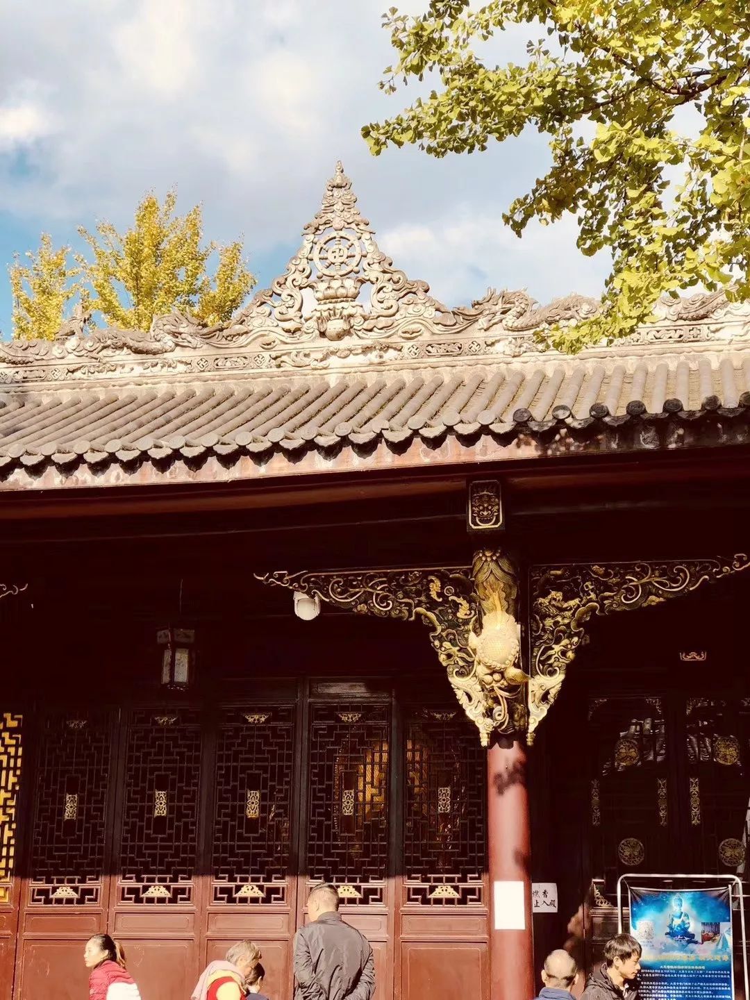 成都锦江边最漂亮的银杏,成都银杏美图