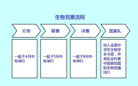 报考自招必看！五大学科竞赛利弊详解，到底哪科最适合你？