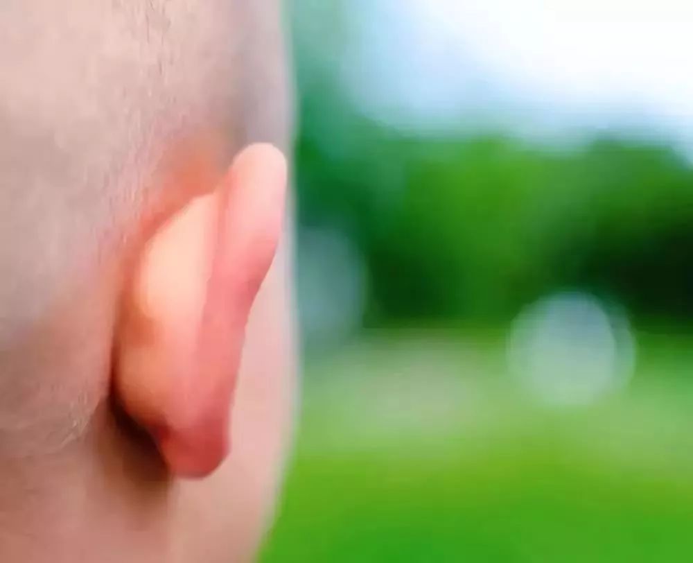 口臭脚臭鼻臭,口臭脚臭的原因有哪些啊