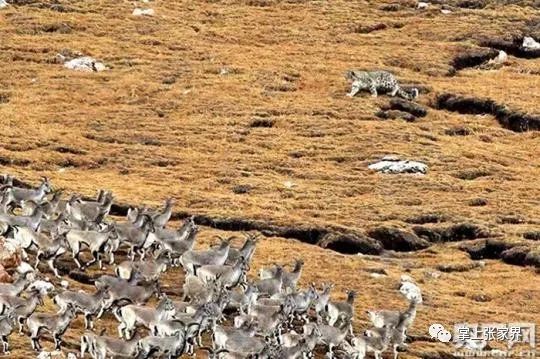 儿子赖床不工作父亲气急败坏,儿子赖床不工作父亲放火