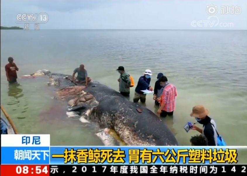 儿子赖床不工作父亲气急败坏,儿子赖床不工作父亲放火