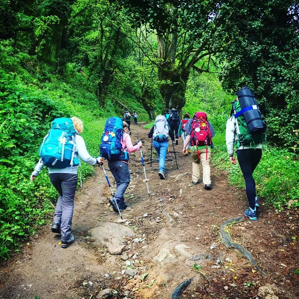 去西班牙不能错过的东西,去过西班牙的感受