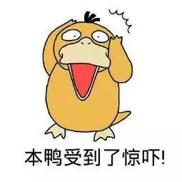 江西一居民家中惊现巨型马蜂窝,贵州家里惊现巨型马蜂窝