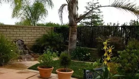 江西一居民家中惊现巨型马蜂窝,贵州家里惊现巨型马蜂窝