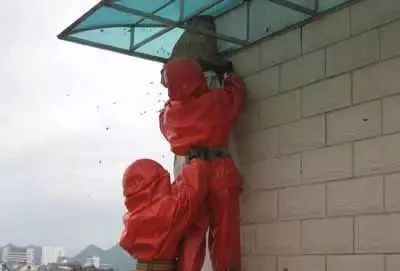 江西一居民家中惊现巨型马蜂窝,贵州家里惊现巨型马蜂窝