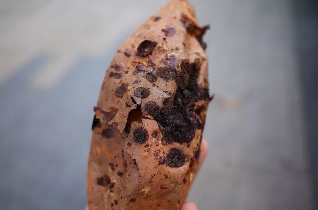 人间不值得但是人间很美好,人间不值得但是你值得是谁说的