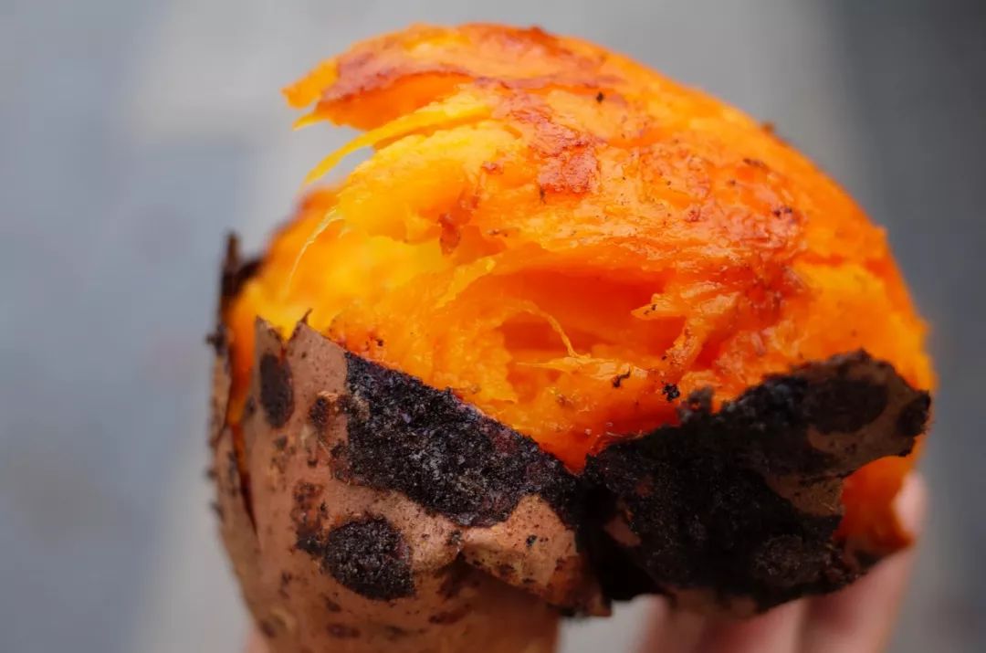 人间不值得但是人间很美好,人间不值得但是你值得是谁说的