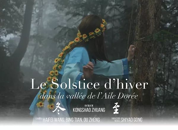 访谈｜「开山大师兄」庄孔韶：纵游学海，君子不器