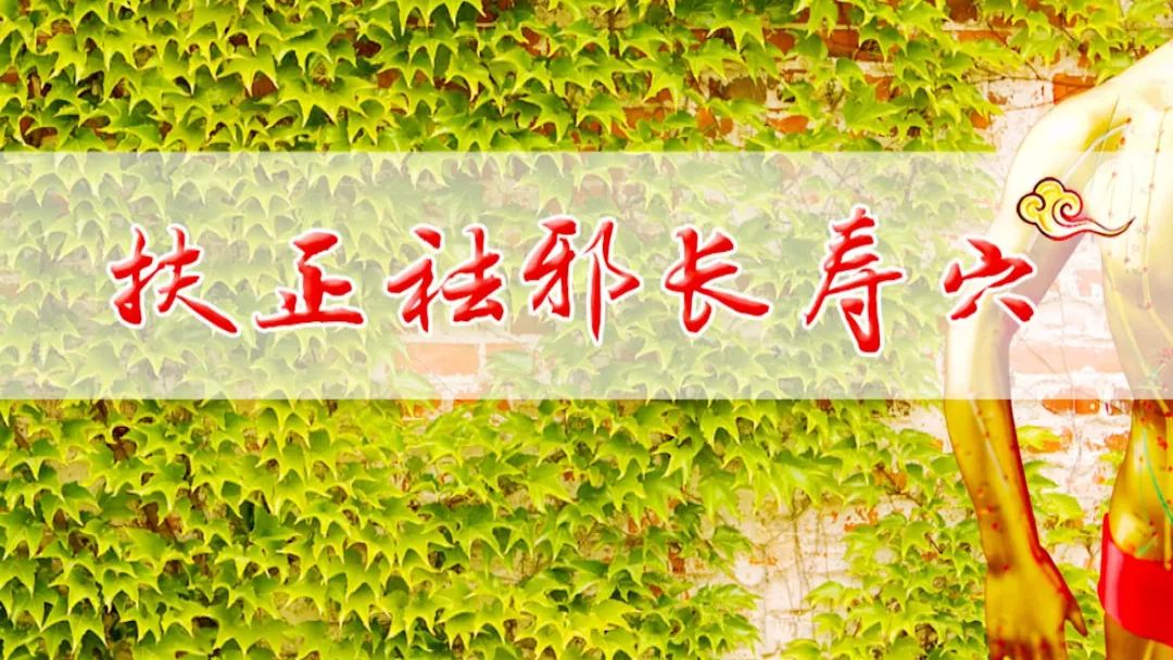 养生堂97岁陈老谈养生秘方,养生堂6个秘诀