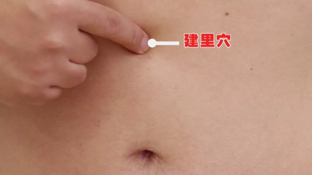 养生堂97岁陈老谈养生秘方,养生堂6个秘诀