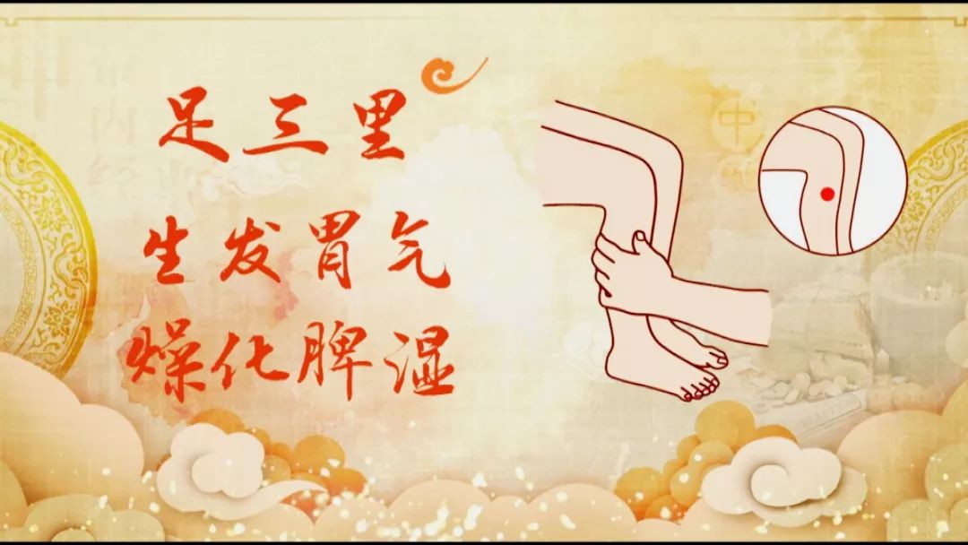 养生堂97岁陈老谈养生秘方,养生堂6个秘诀