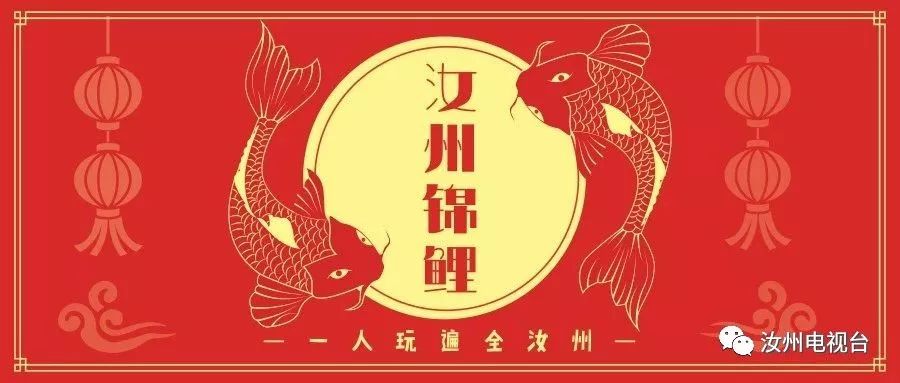 来啦！乐达卡萨帝邀你一起见证汝州锦鲤的诞生！