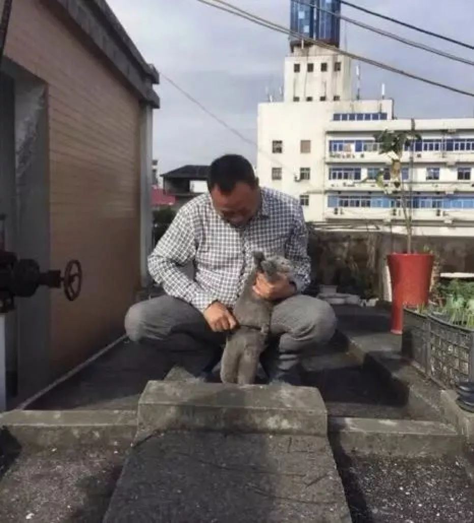 养猫的用处每一个都好硬核 (年轻人养猫和老人养猫的区别)