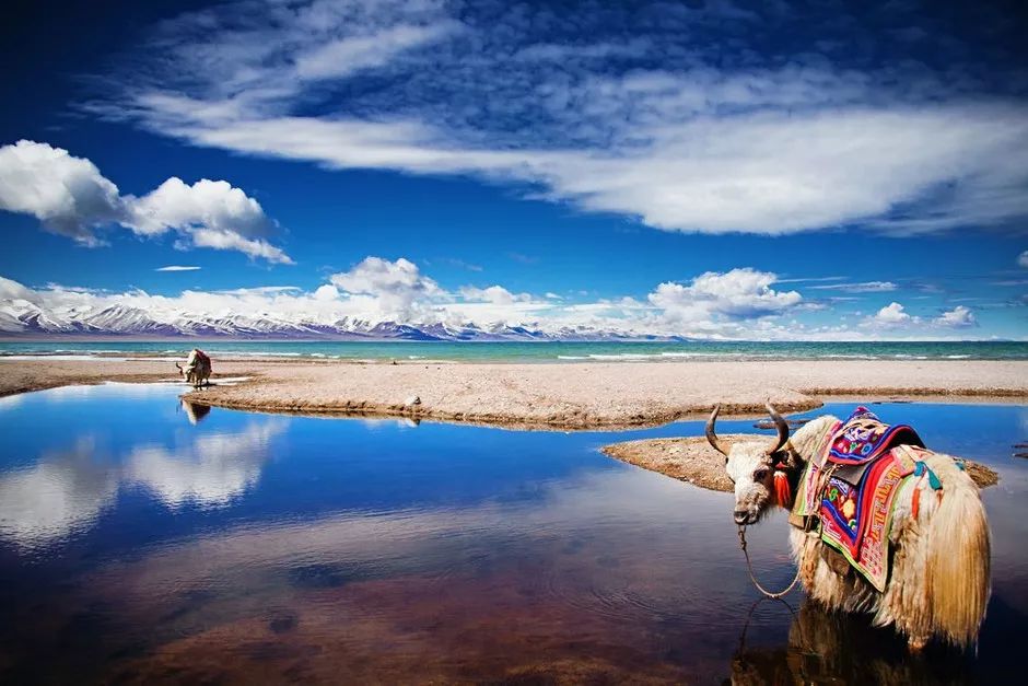 中国各省特产美食一览表,中国所有省份特产