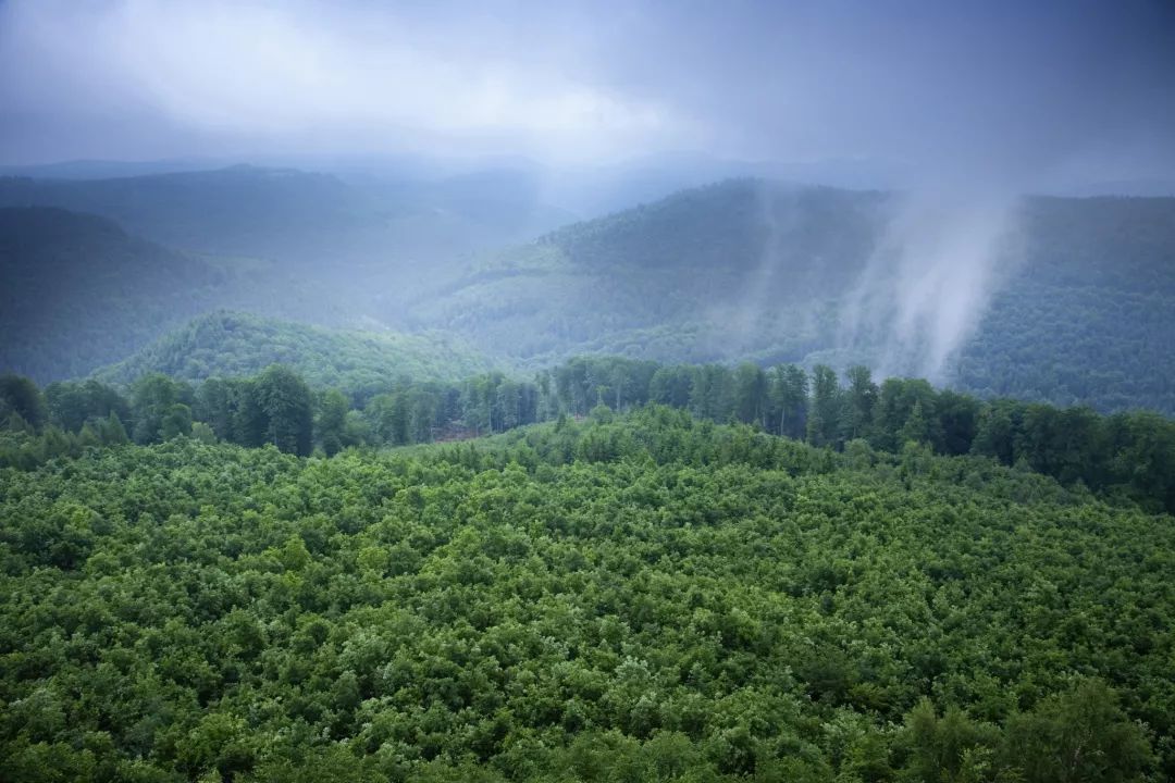 【周荟萃◆第十七期】科创板受理公司巡礼系列来袭！【安信诸海滨团队】