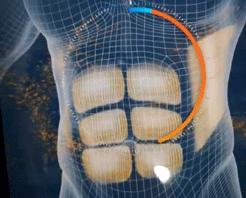 日本一些变态减肥方式,日本变态发明