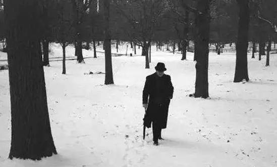 最好的生活态势的句子木心,木心心态