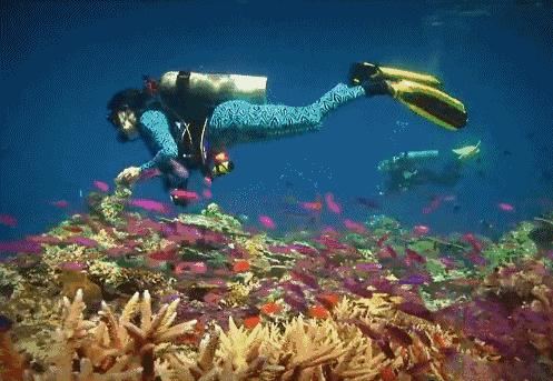 巴厘岛直飞中国航班,飞印尼巴厘岛要多久