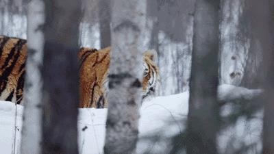 东莞2天一夜自驾游适合去哪玩,东莞出发南疆三飞八日旅游