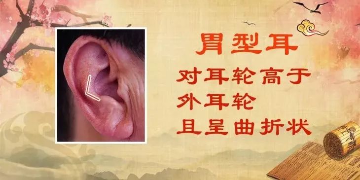 健脾胃最好的食物用于脾胃不和,脾胃差百病生健脾养胃有讲究