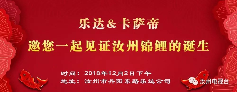 赏插花、做烘焙、看表演、抽大奖，这个周末你还可以这样过……
