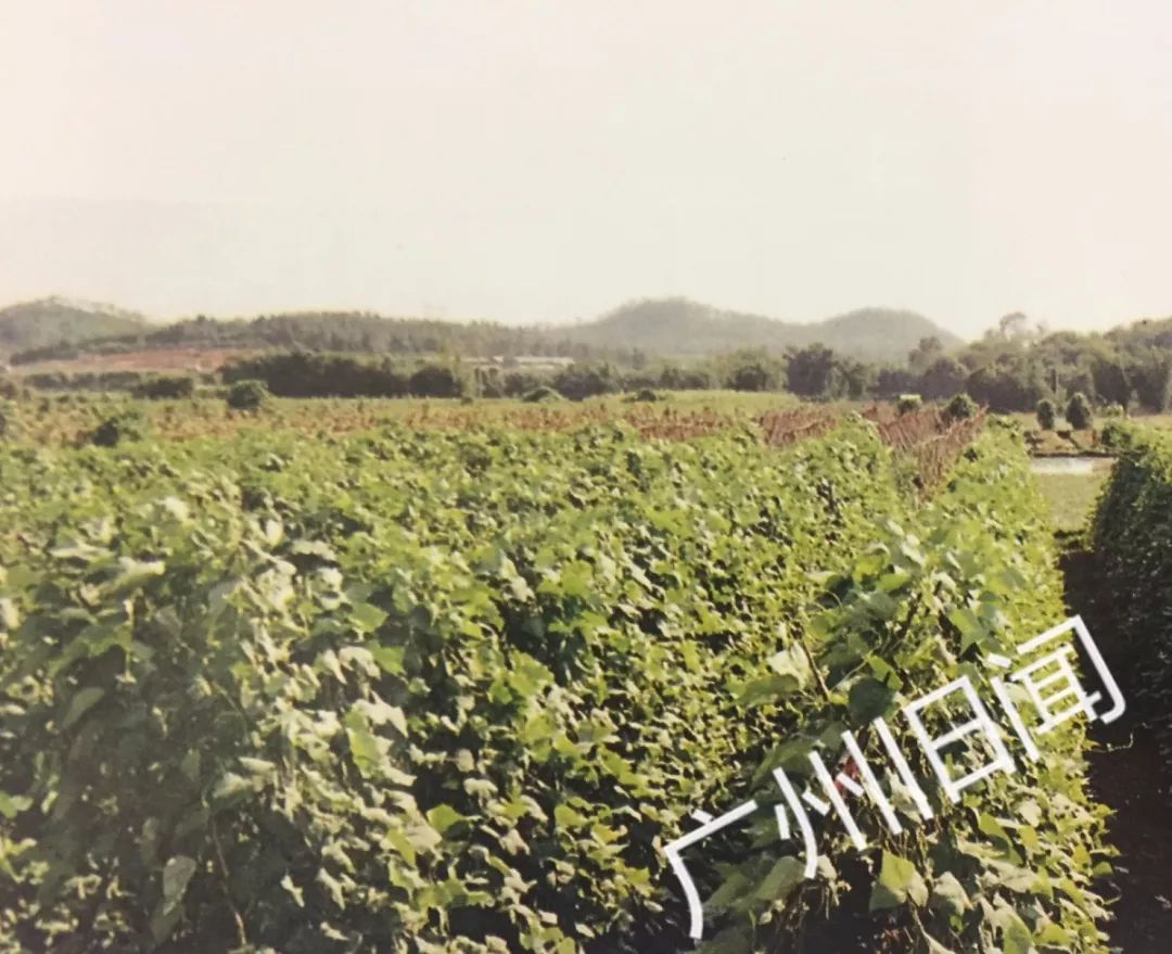 天河区起源,天河形成全过程