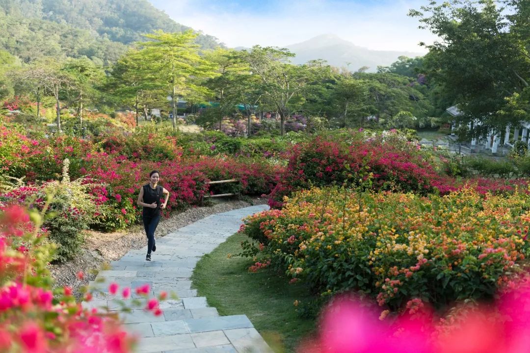 中国第二座希尔顿嘉悦,希尔顿酒店中国店