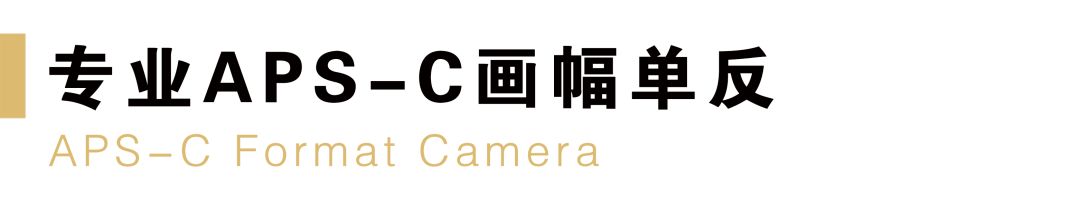 目前买尼康相机什么型号最好,新手买什么尼康单反相机好