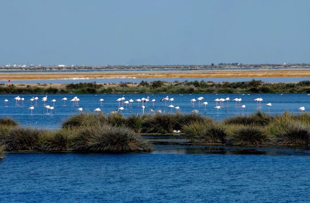 去西班牙不能错过的东西,去过西班牙的感受