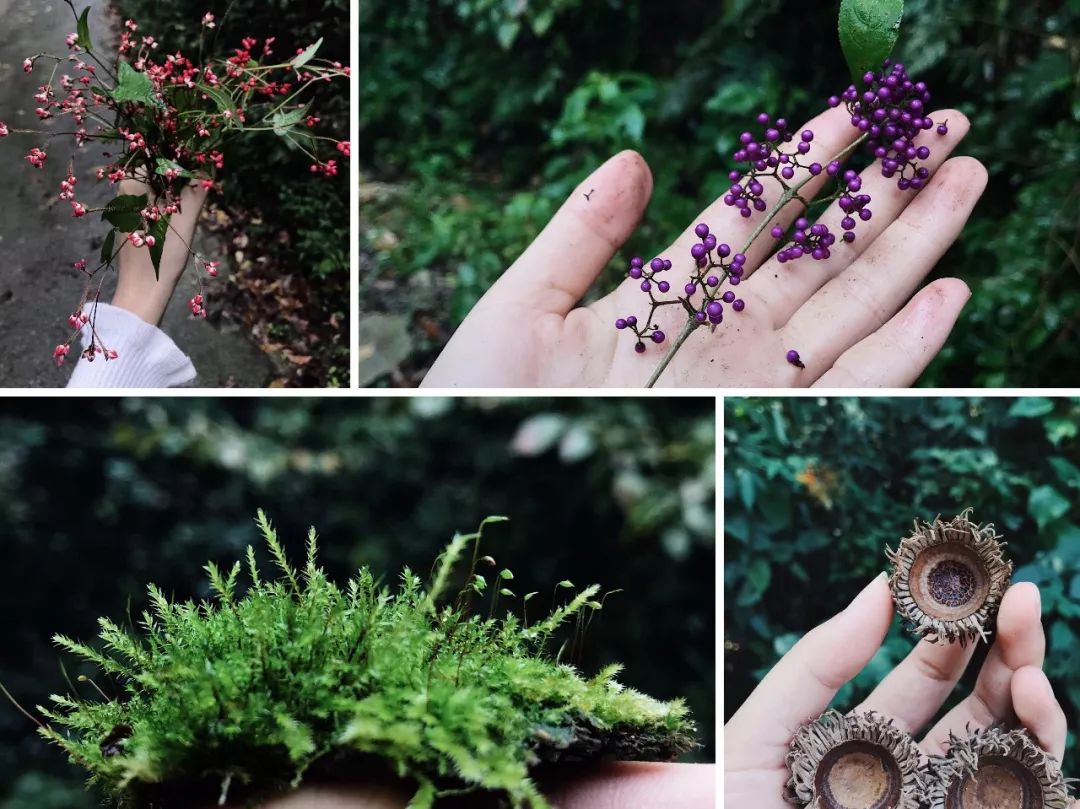 教你怎么造雪,人工造雪最简单的方法