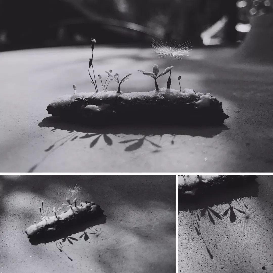 教你怎么造雪,人工造雪最简单的方法