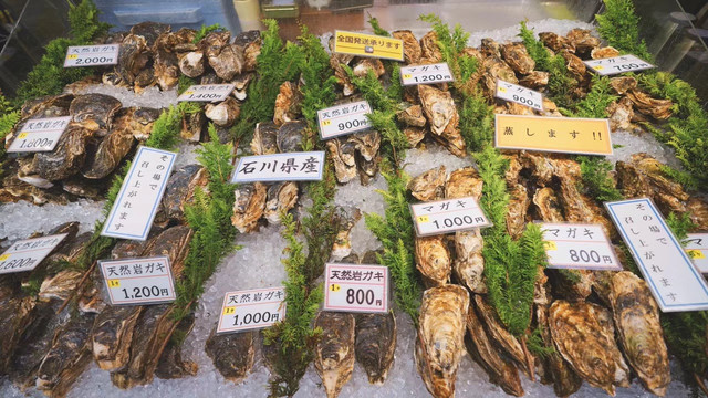 日本金泽有什么游玩的,日本金泽景点