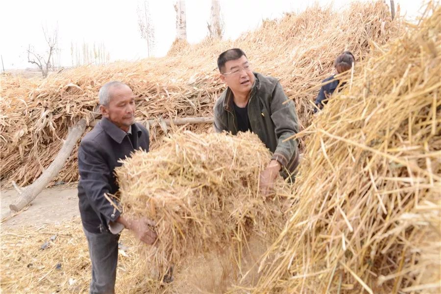 访惠聚工作队第一书记精神态势,访惠聚第一书记纪实